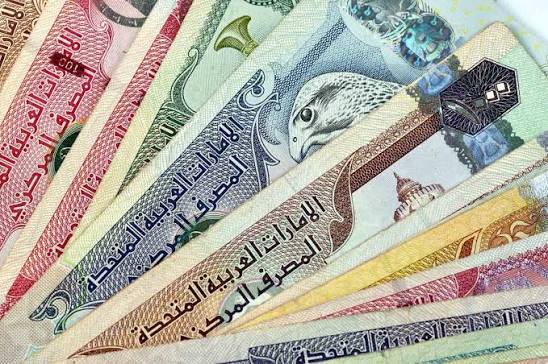 الدرهم الإماراتي