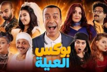 بوكس العيلة