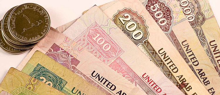 الدرهم الإماراتي