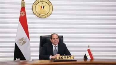 لقاء السيسي