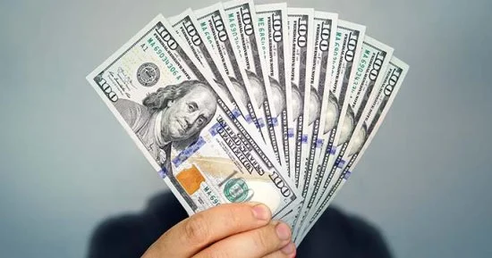 سعر الدولار