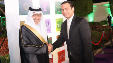 وزير الكهرباء