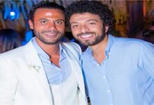 شمس الزناتى
