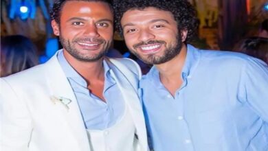 شمس الزناتى