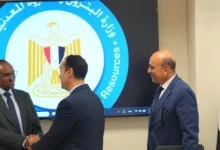 مباحثات مصرية
