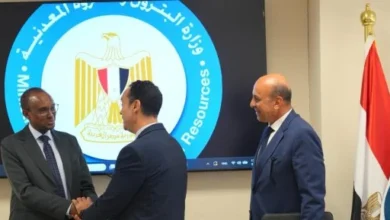 مباحثات مصرية