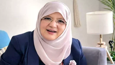 شمس البارودي