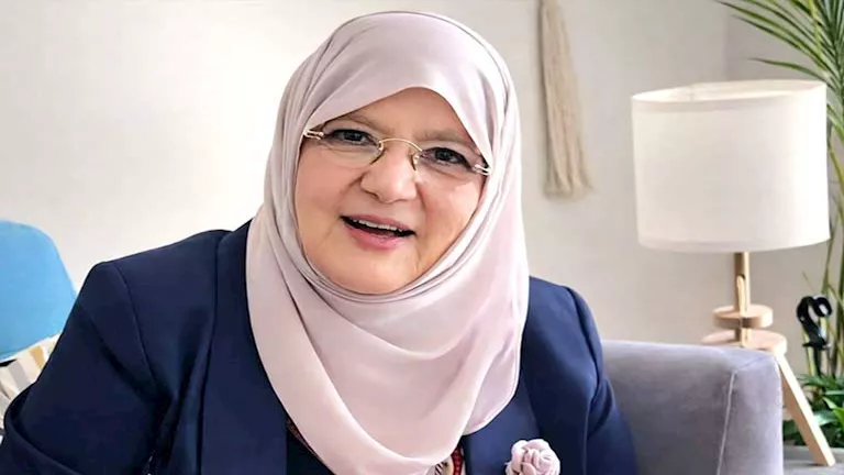 شمس البارودي