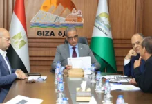 محافظ الجيزة