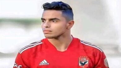 الدبيس