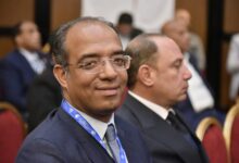 الصينية