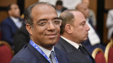 الصينية