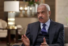 هشام طلعت