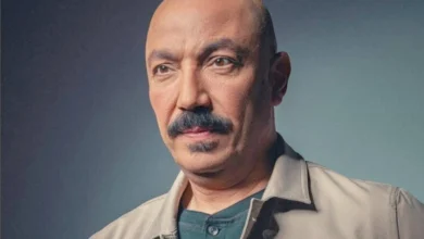 طارق لطفي