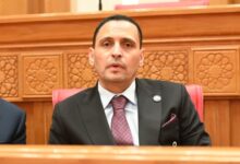 النائب إسلام التلواني