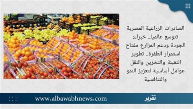 الصادرات