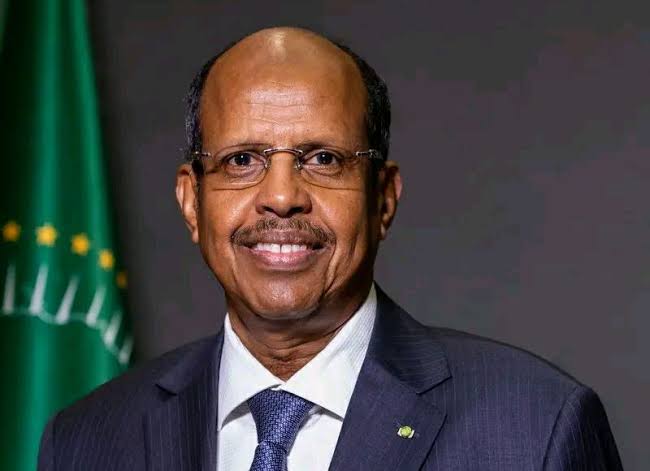 أحداث النيجر