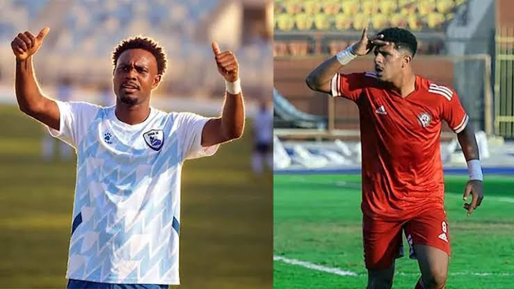 محمود ممدوح
