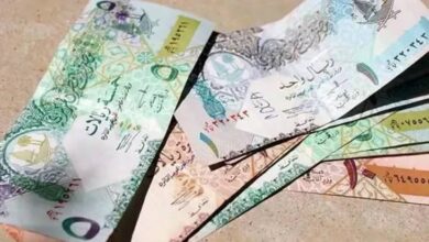 البنوك المصرية