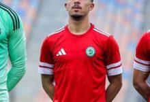 محمود ممدوح