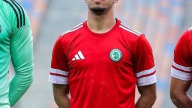 محمود ممدوح