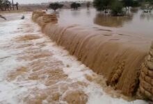 حماية الجسور