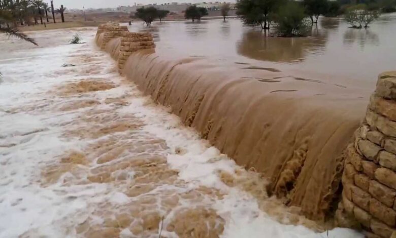 حماية الجسور
