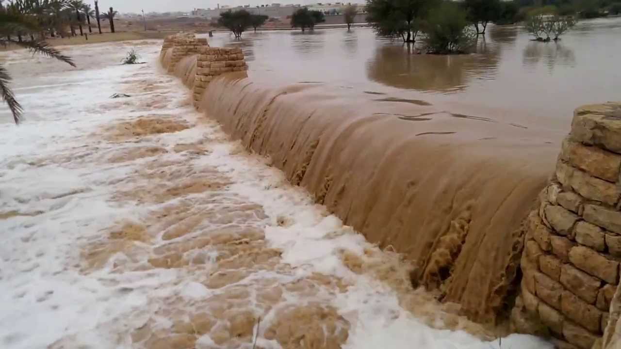 حماية الجسور