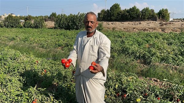 مجلس الوزراء