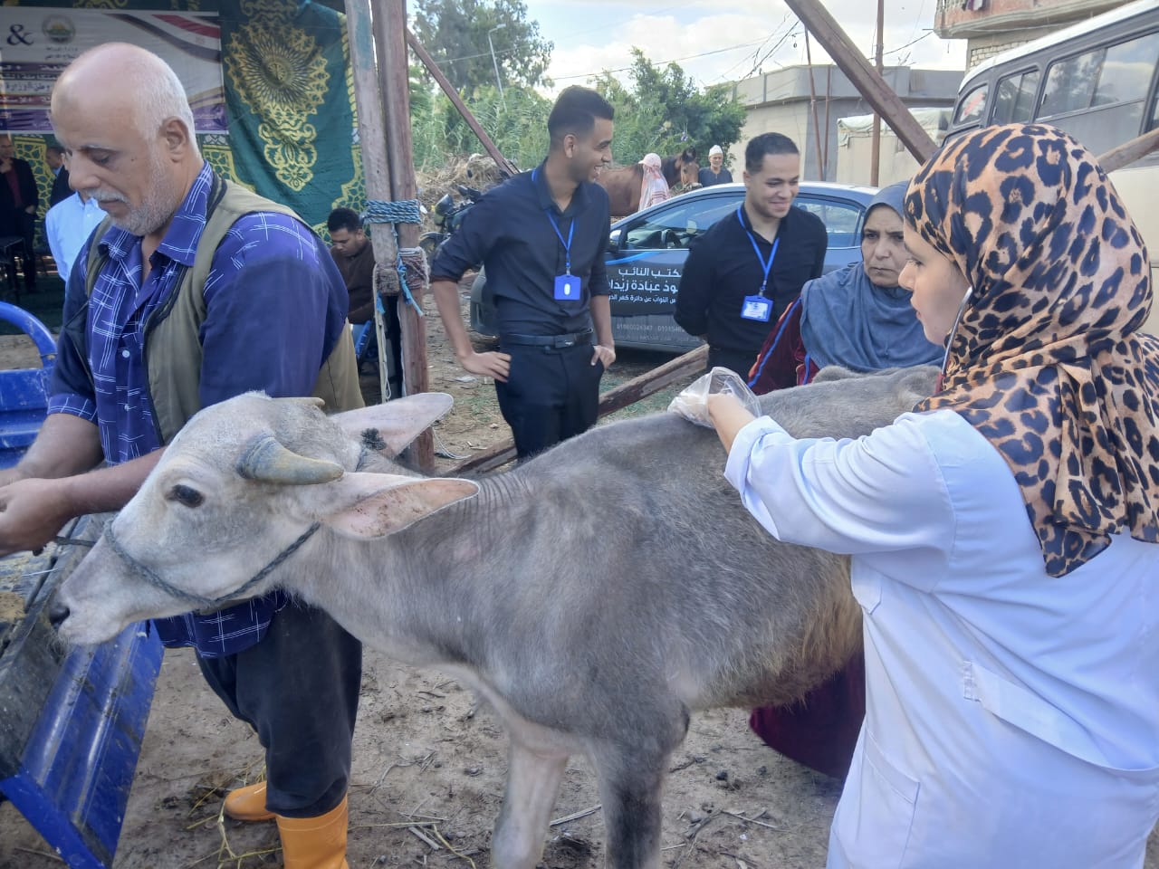 الطب البيطري