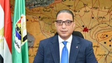 محافظ الجيزة