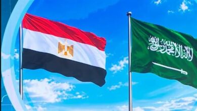 المصريون