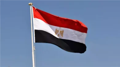 خبير عسكري