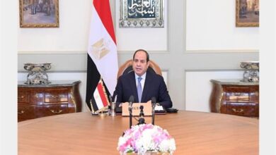 السيسي