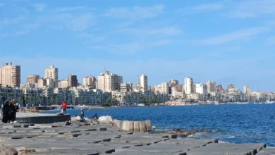 الارصاد
