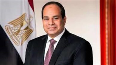 السيسي