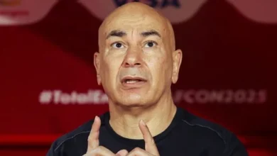 حسام حسن