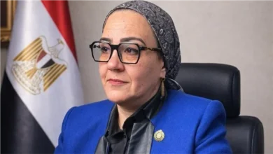 داليا الأتربي