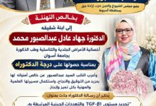 النائب