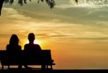 أعمال المنزل