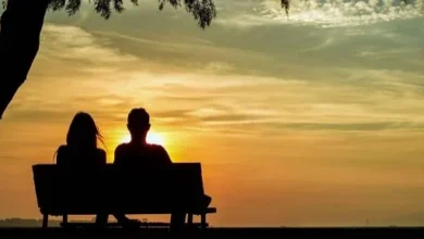 أعمال المنزل