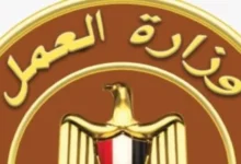 فرص عمل للشباب