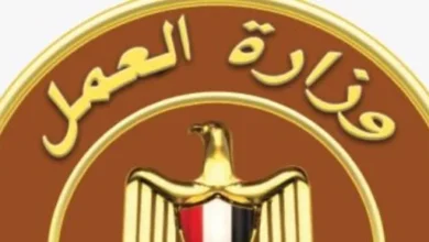 فرص عمل للشباب