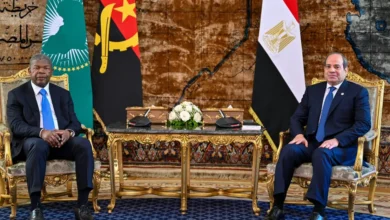 رئيس السيسى