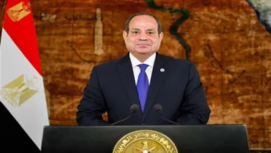 الرئيس السيسى